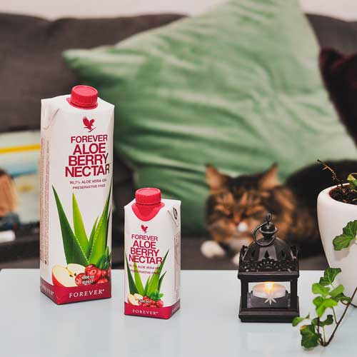 Iskustva korisnika Aloe Berry Nectar napitka kompanije Forever Lovong Products